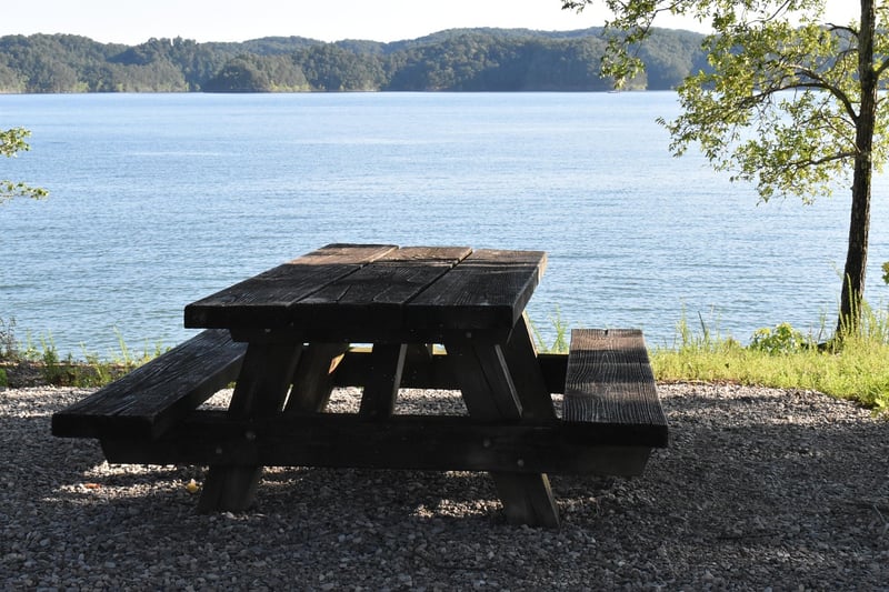 Community Picnic